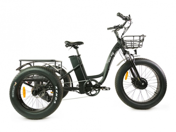 Tricycle 500W